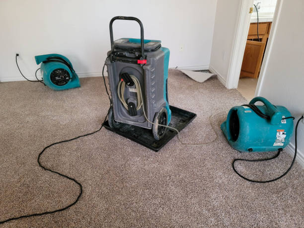 Water damage restoration mold remediation in Cascade, ID