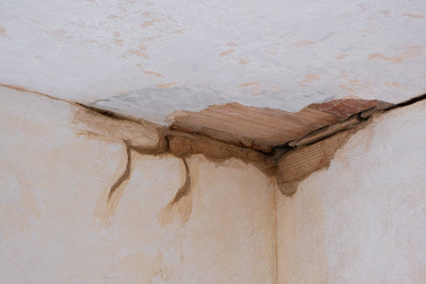 Best Commercial water damage restoration  in Cascade, ID