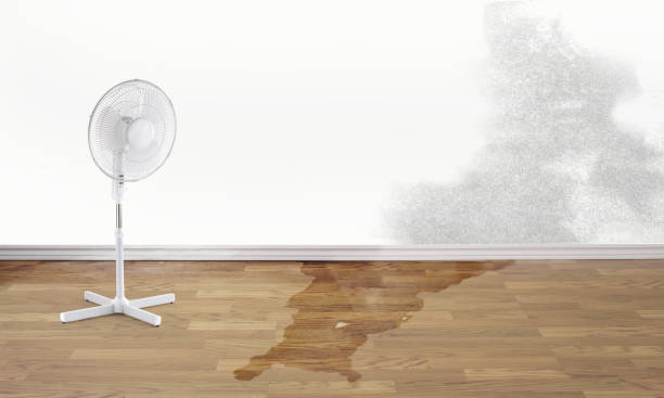 Best 24-hour water damage restoration  in Cascade, ID