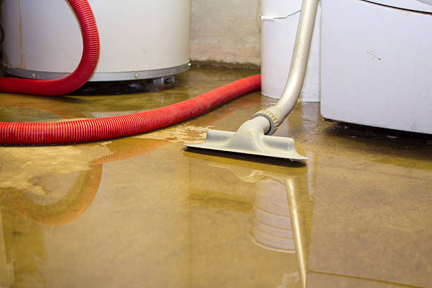  Cascade, ID Water damage restoration Pros