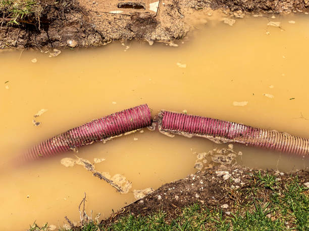 Best Carpet water damage restoration  in Cascade, ID
